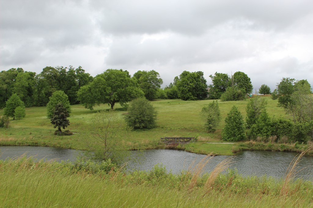 13. Lot 8 Block D Weeping Willow Trail