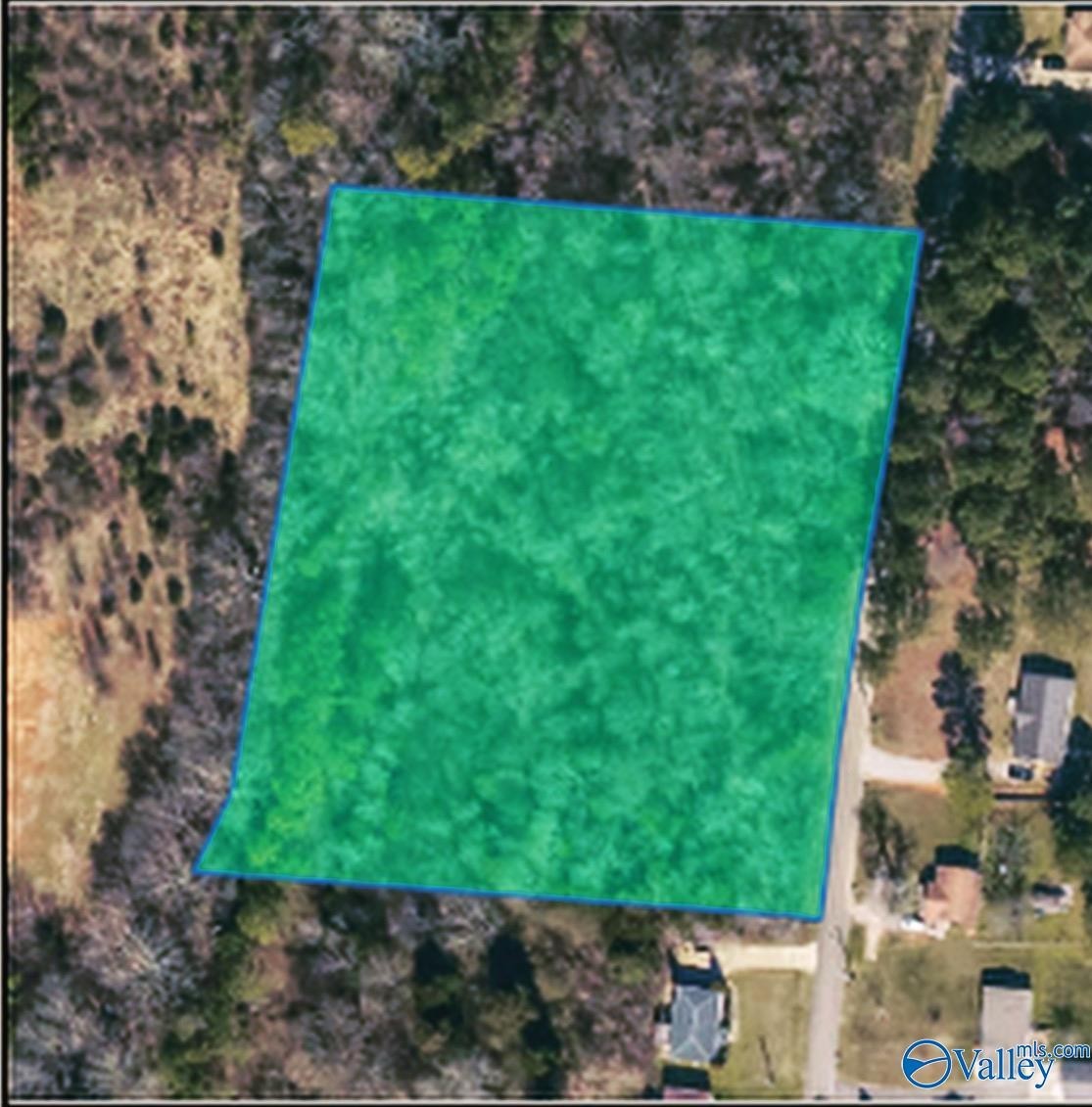 10. 3.8 Acres Townsend Drive
