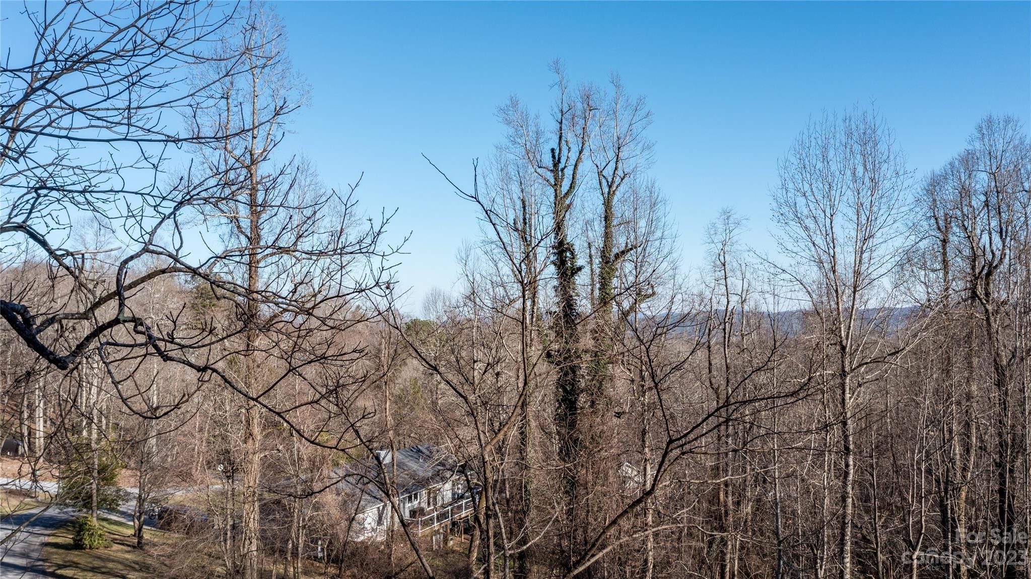 1. 0 Sweetgum Trail