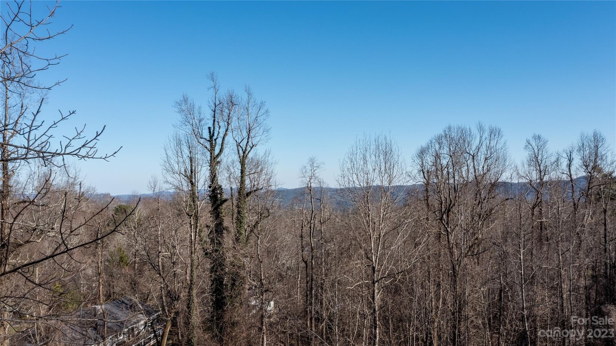 2. 0 Sweetgum Trail