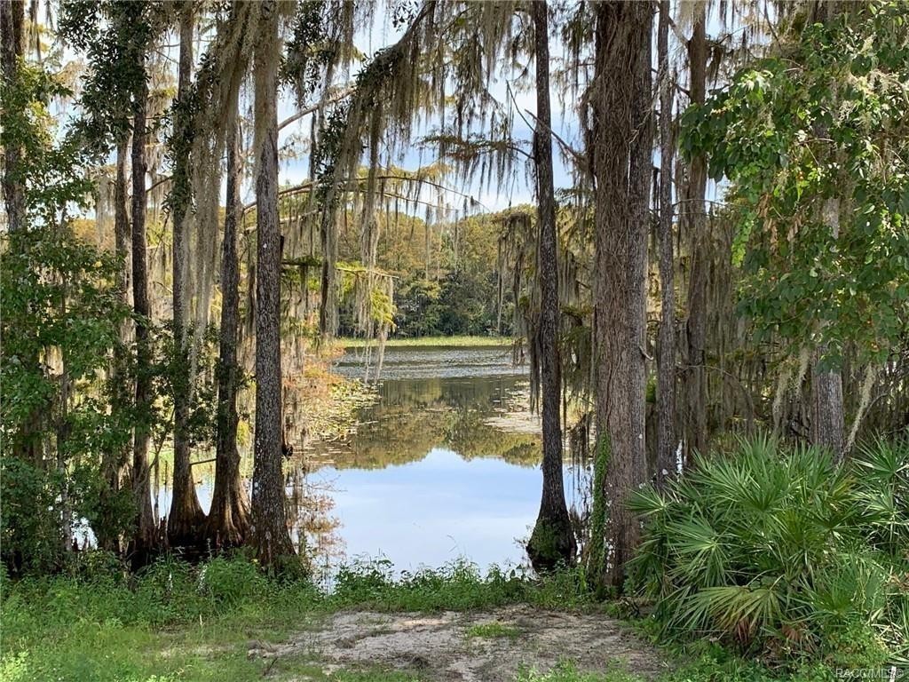 4. 380 Wood Stork Trail