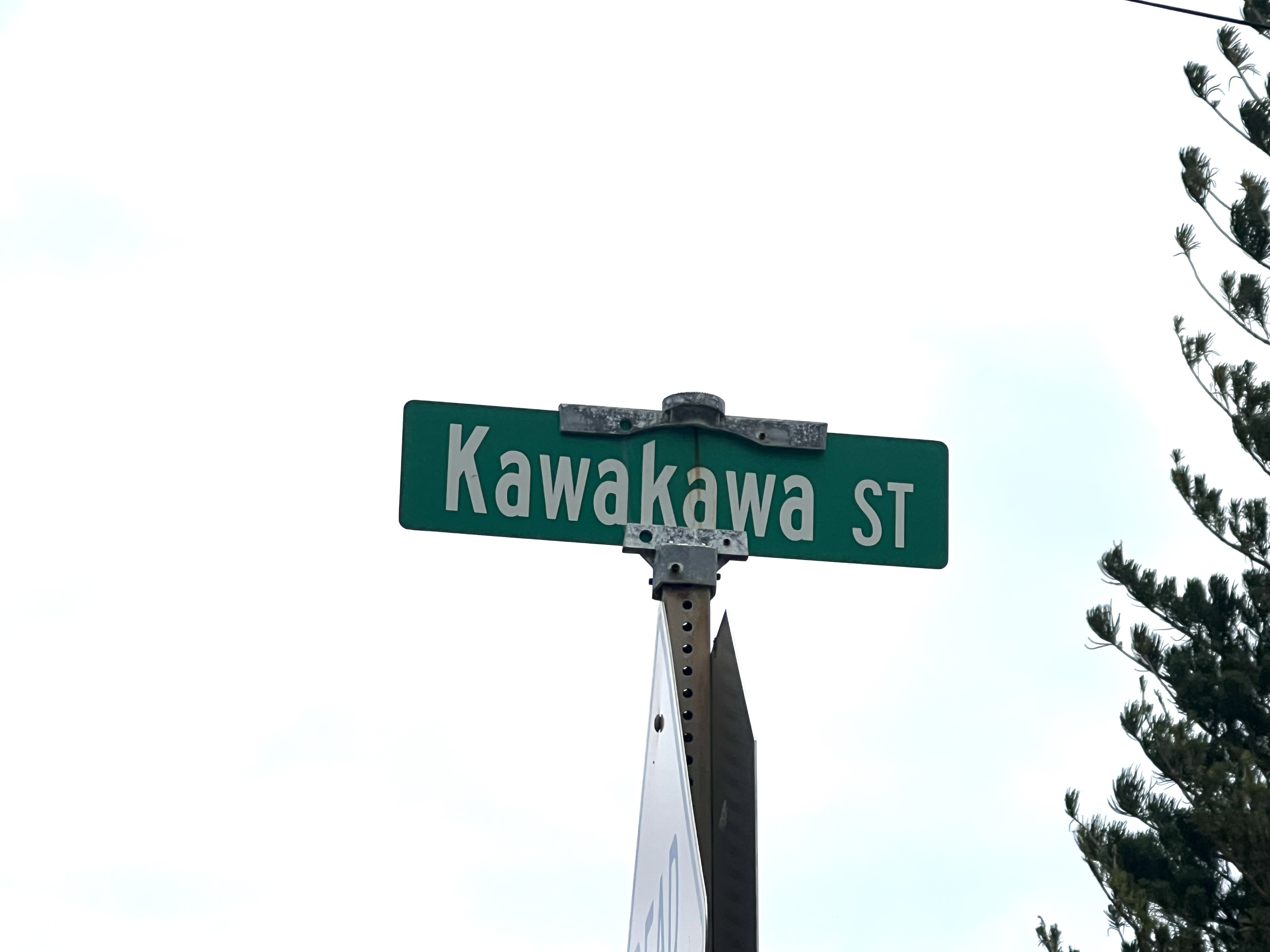 2. Kawakawa St