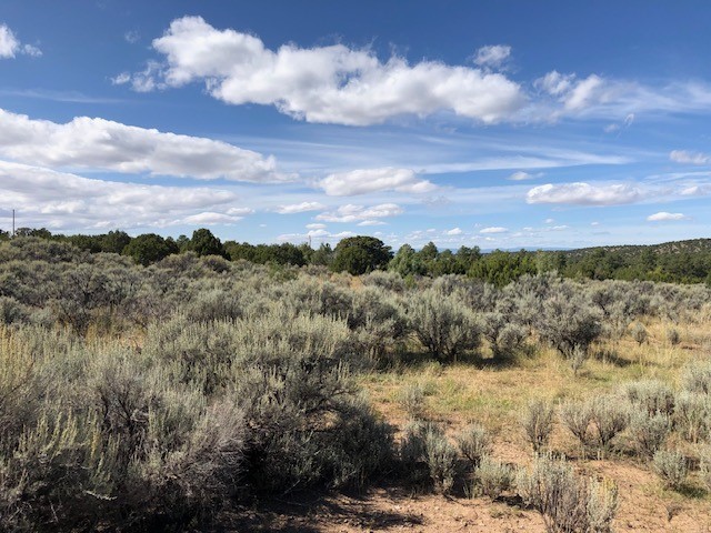 2. 6 One Acre Lots Nm 76