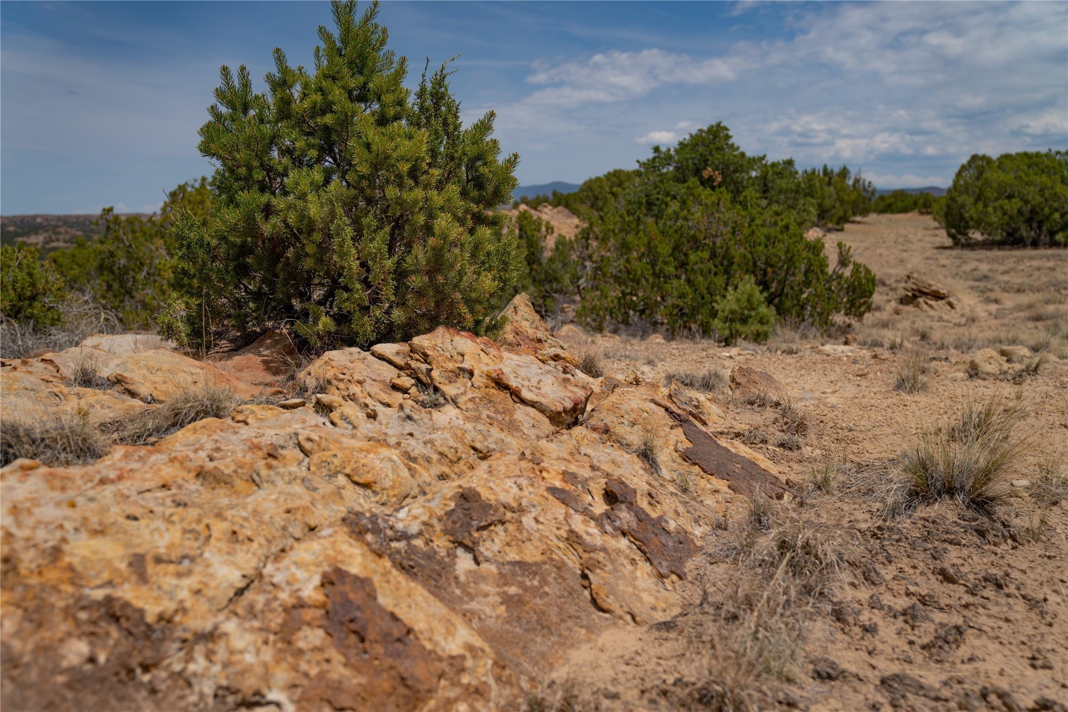 11. Galisteo Basin Vistas Nm-41