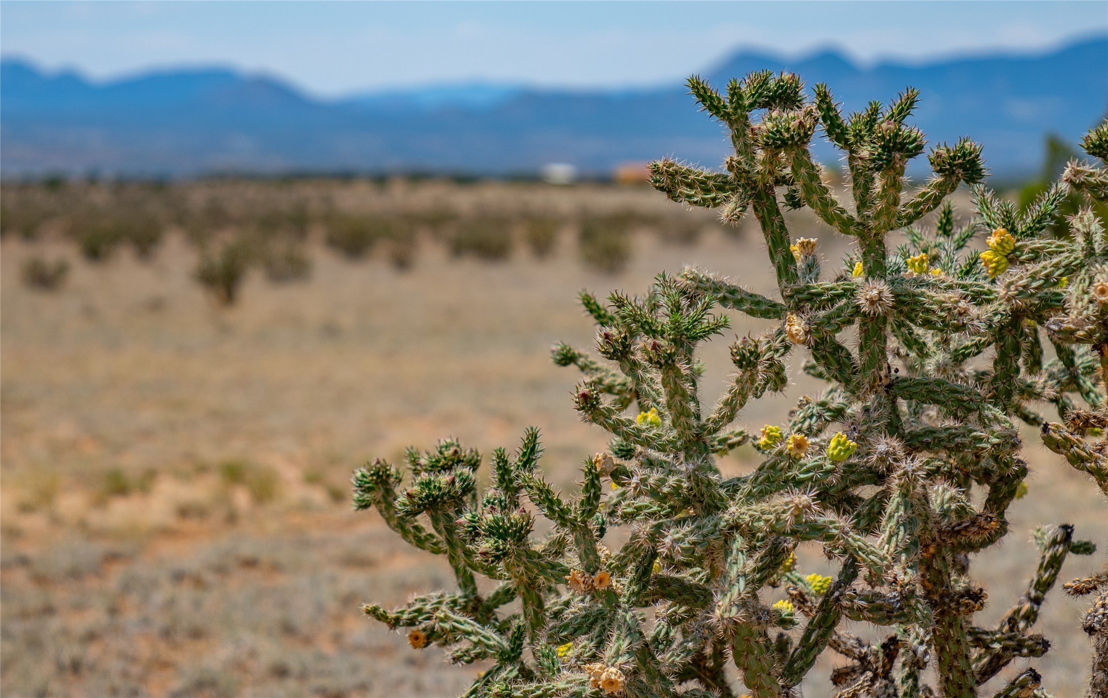 9. Galisteo Basin Vistas Nm-41