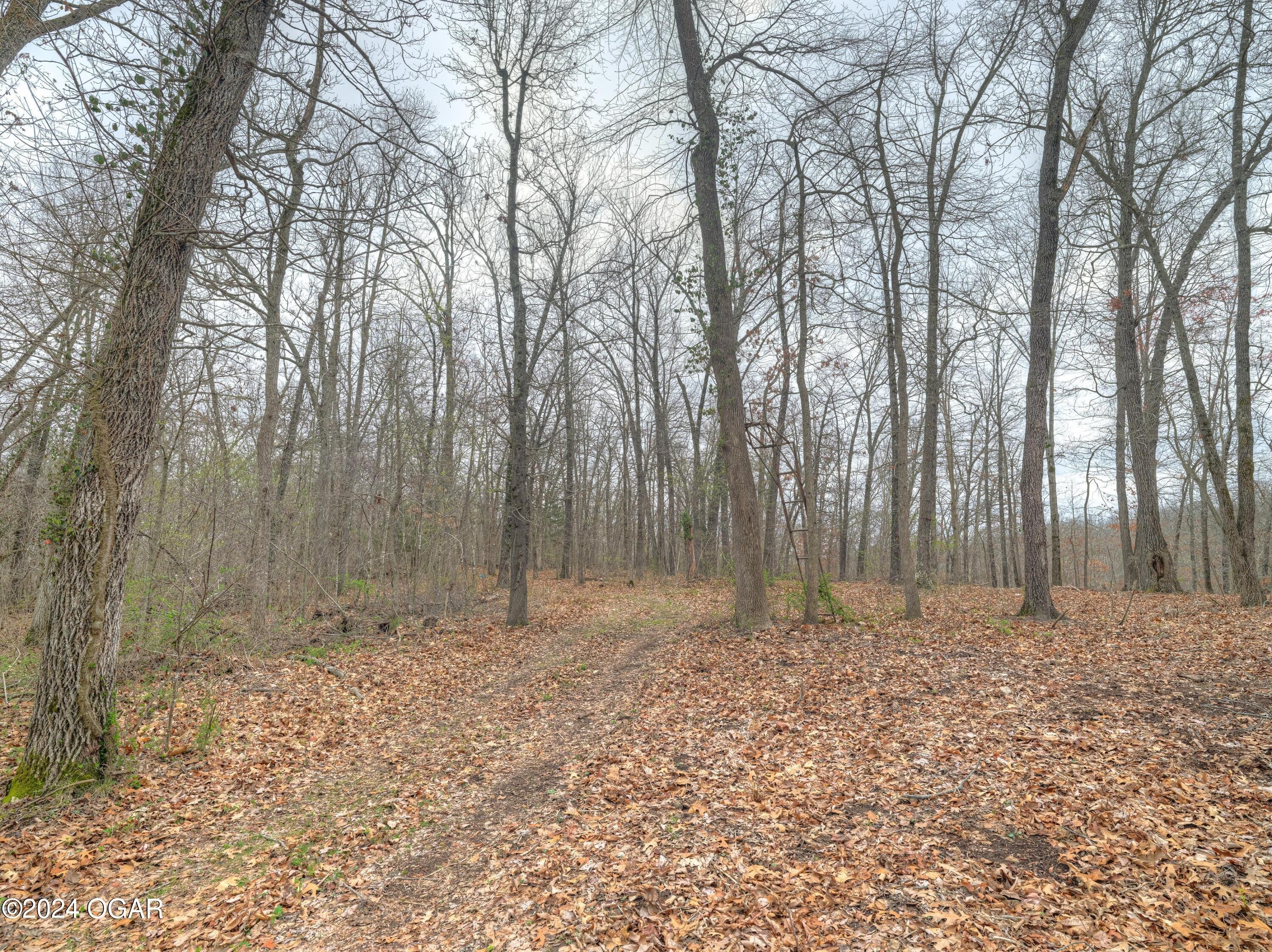 27. 636 Wilderness Way &amp; 13.67 Acres