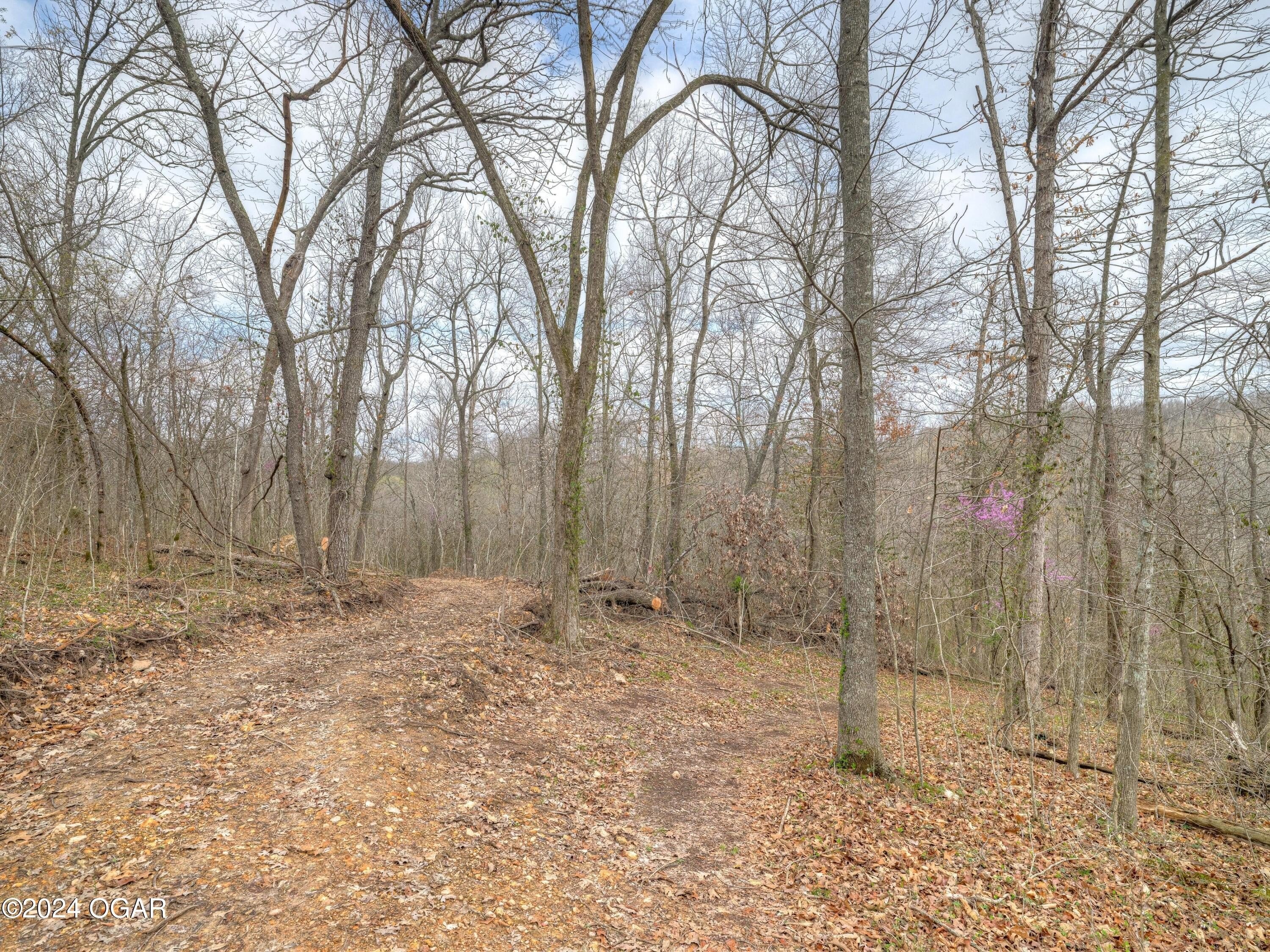 29. 636 Wilderness Way &amp; 13.67 Acres