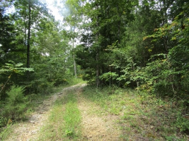 2. 5.017ac Backwoods Trail Lot 2