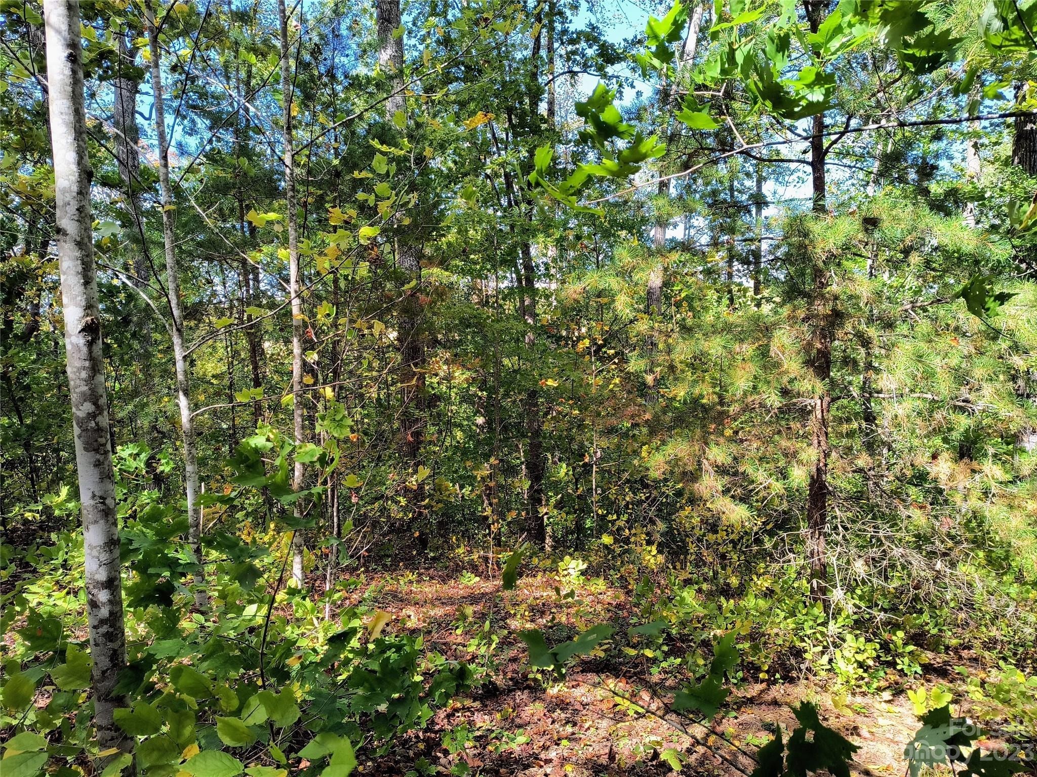 1. 1.31 Acre Lot Nathan Mcdaniel Drive