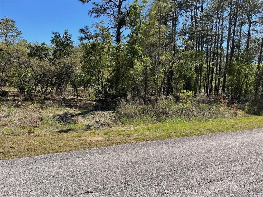 2. Lot 3 SW Woodland Avenue