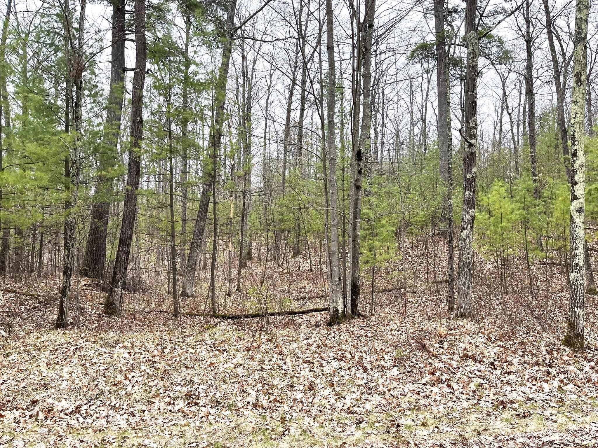 1. Lot 4 Lake Yawkey Drive