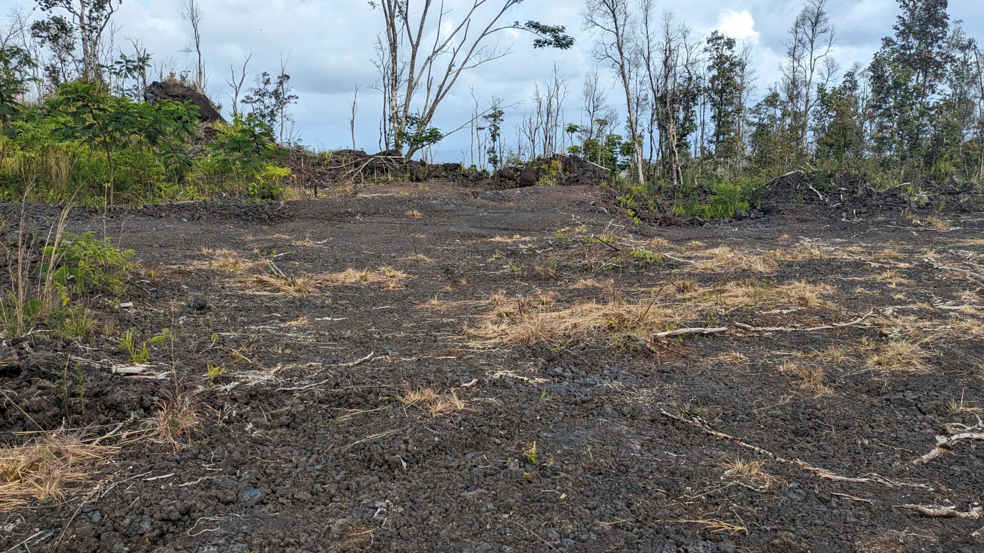 19. 13-3992 Pahoa Kalapana Rd