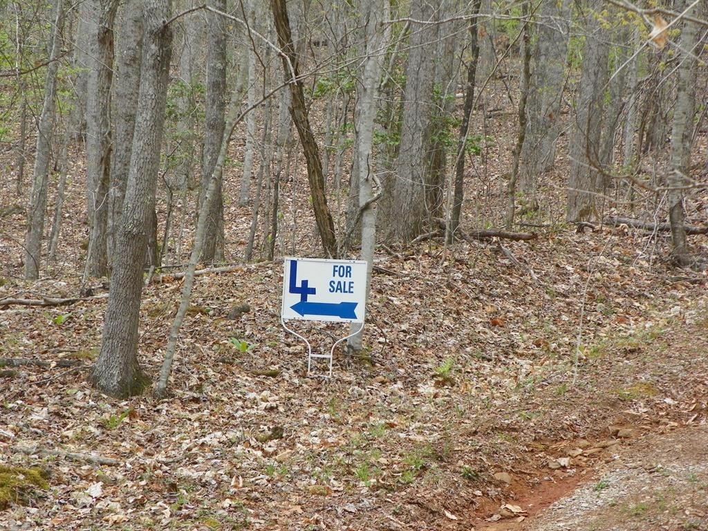 1. Lot 4 Coon Creek Franklin, Nc 28734