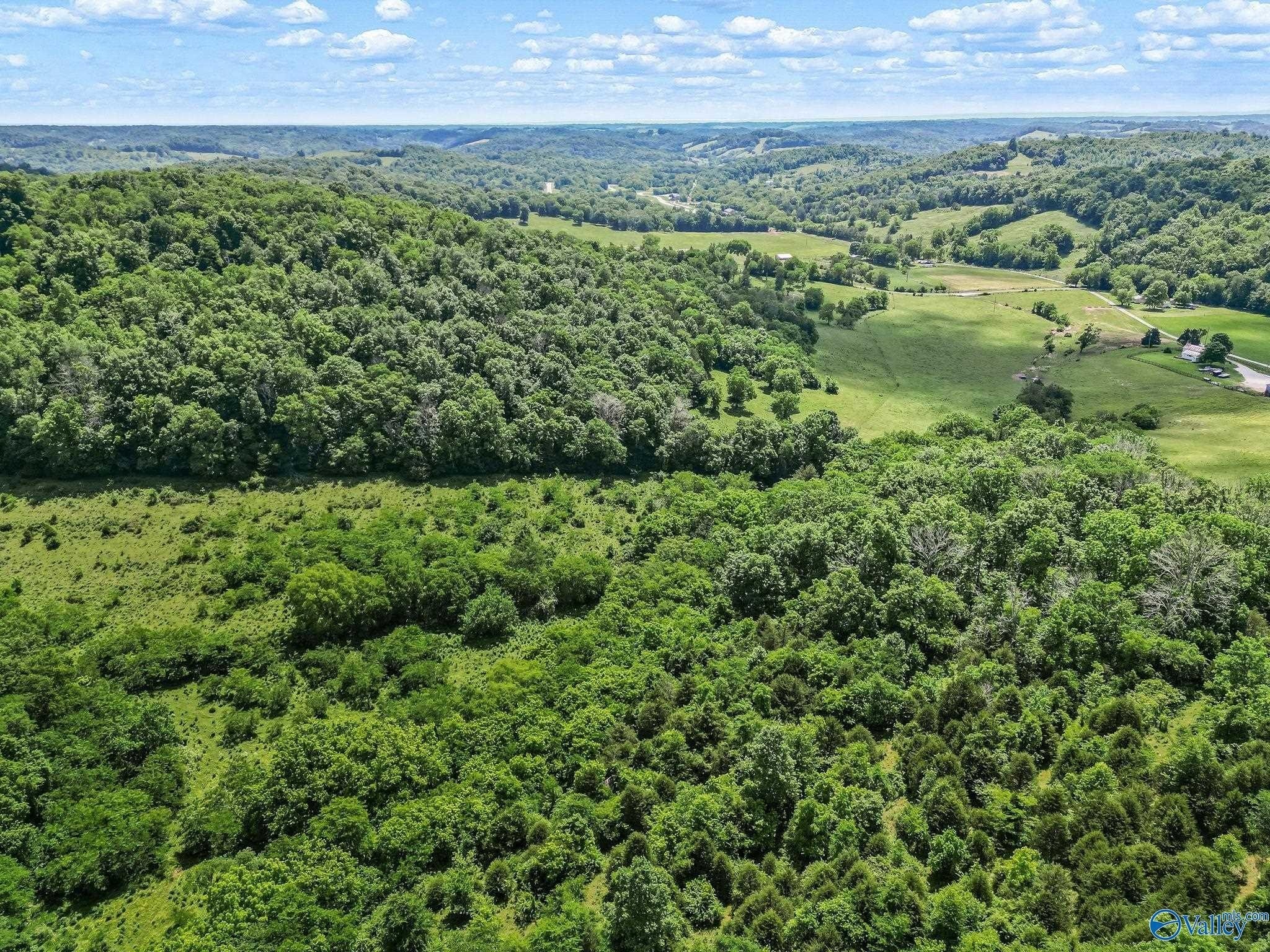 2. 24.68 Acres Polecat Hollow Road