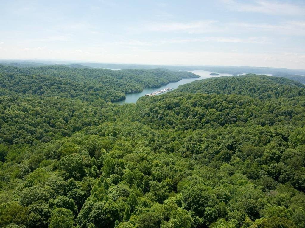 1. 19.22 Acres Lakeside Estates