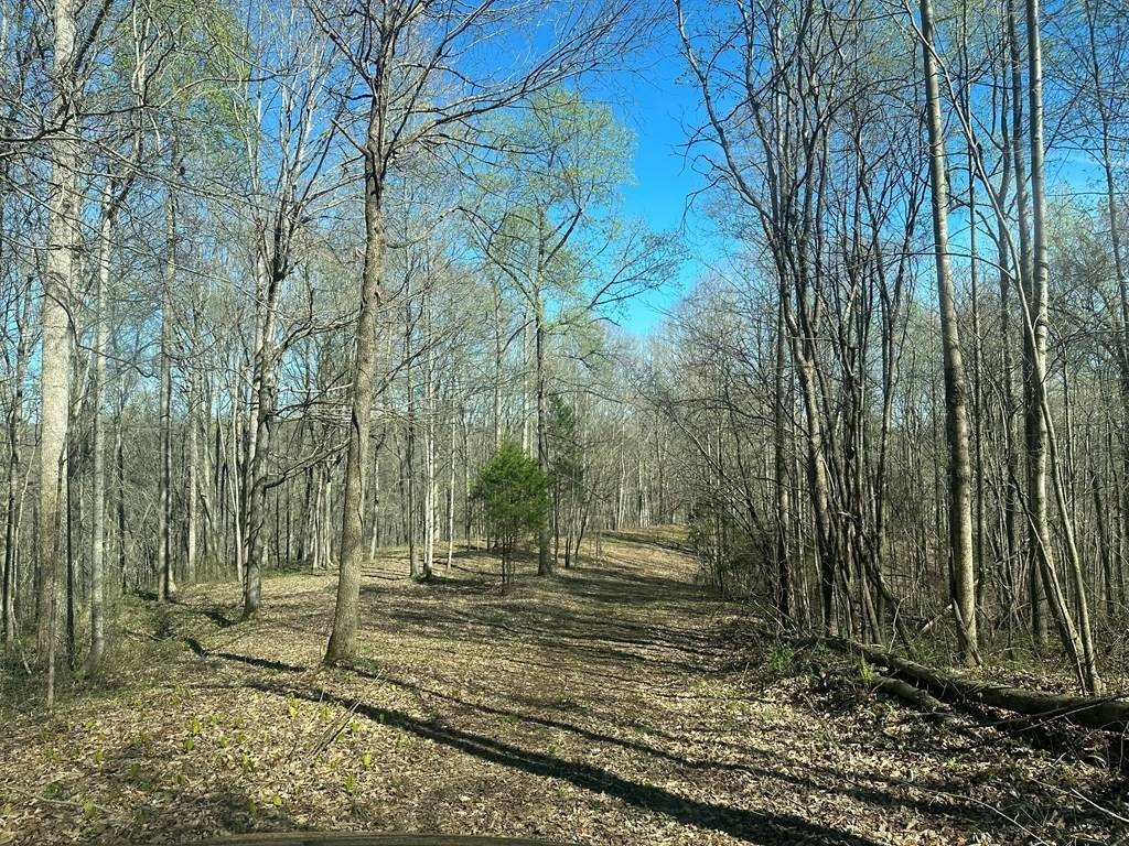 2. 19.22 Acres Lakeside Estates