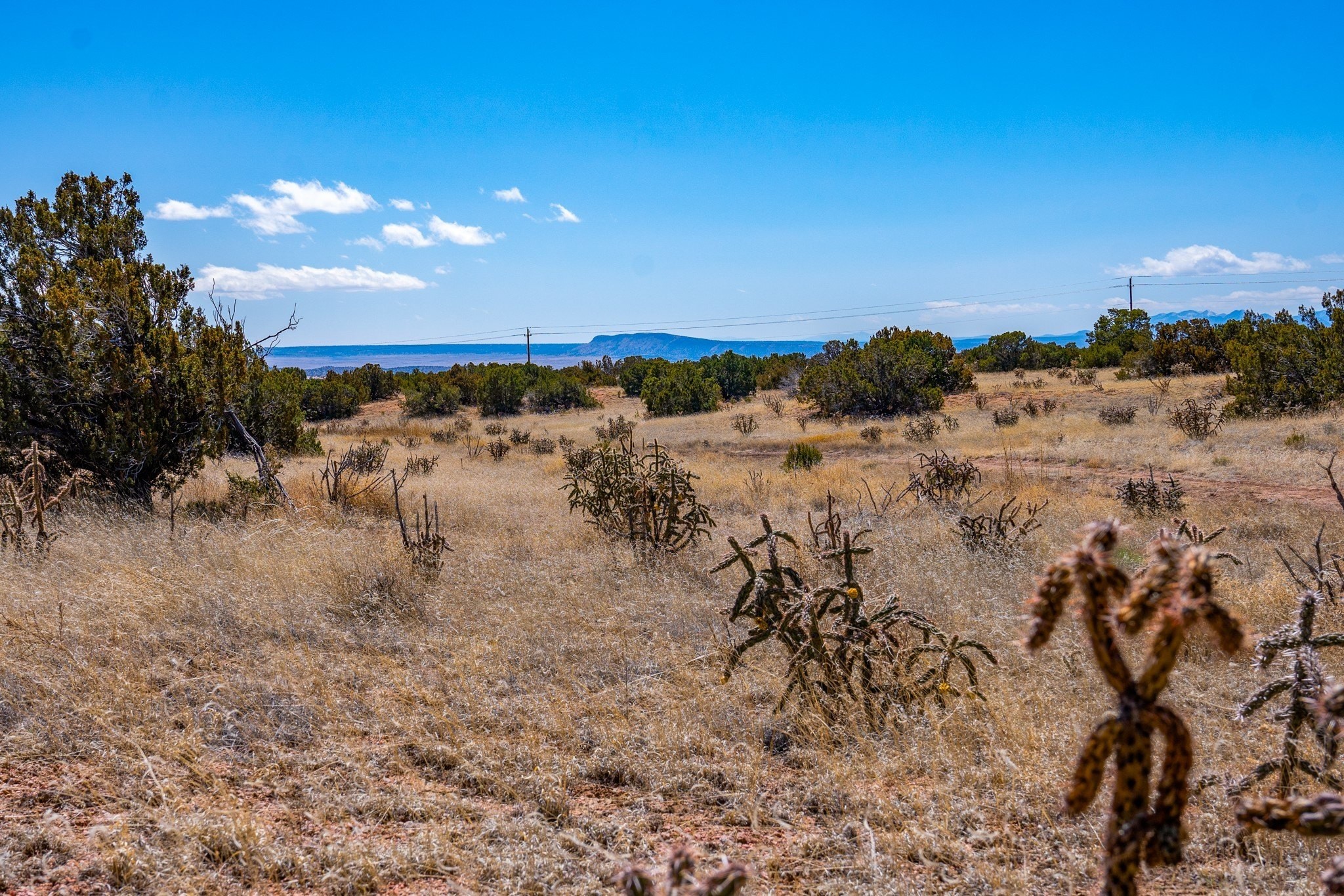 9. Jose De La Paz - Spirit Wind West Subdivision