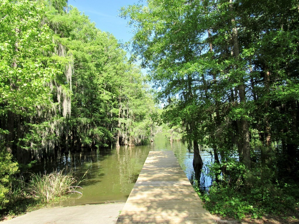 5. 3 Red Cypress Landing