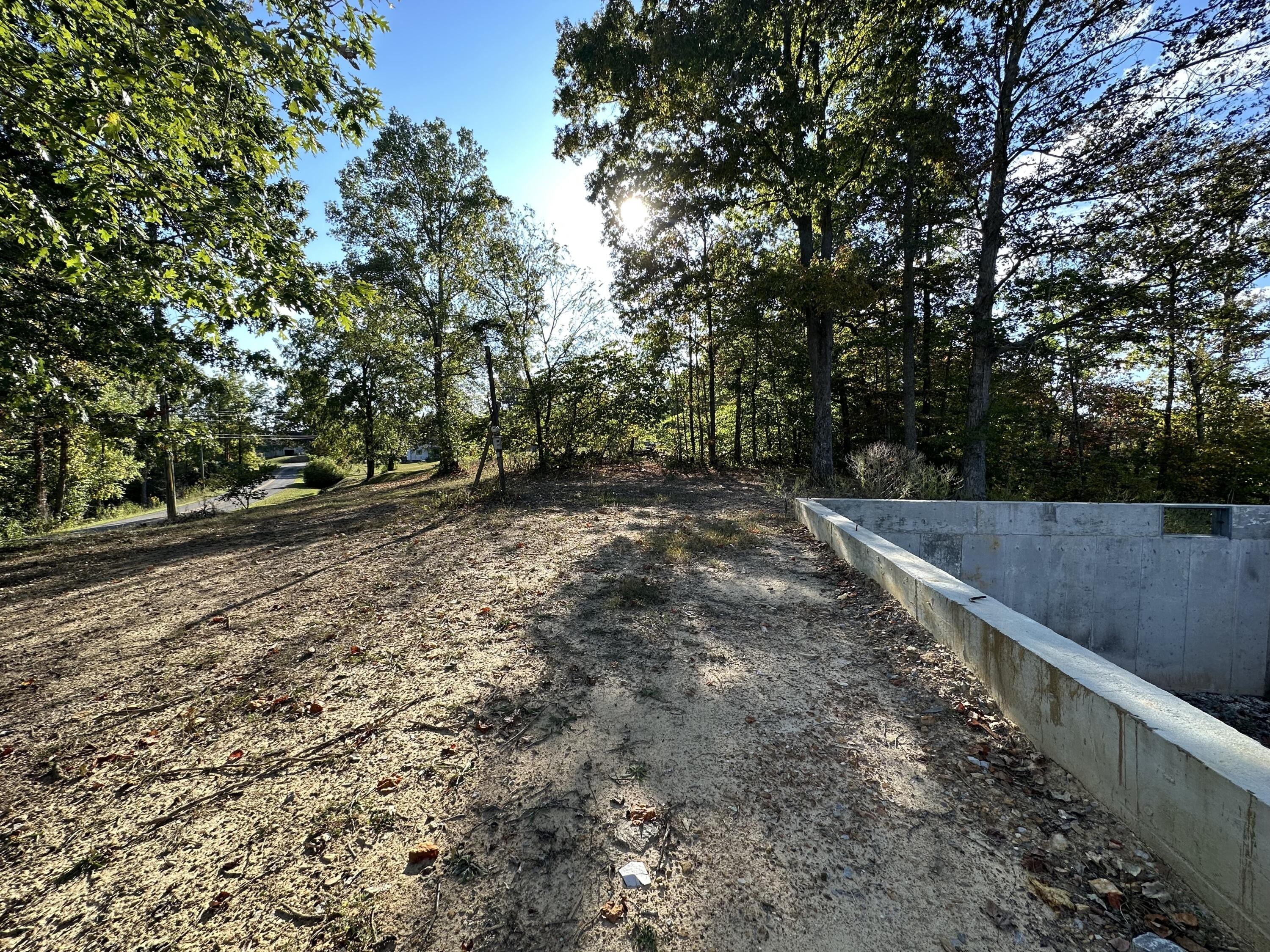 2. 284 Roberts Bend Road - Tract 1 Road