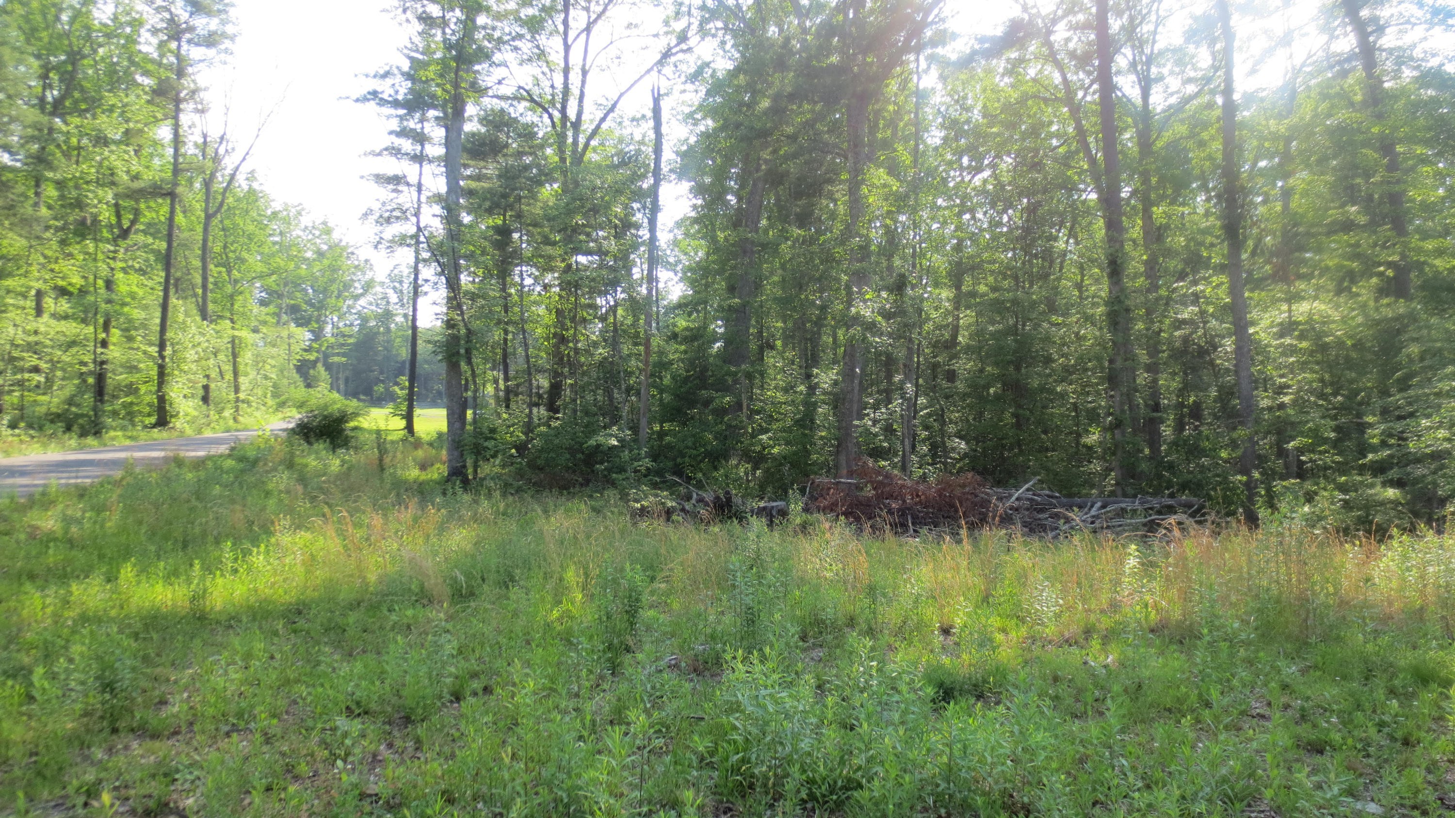 1. Lot 22 Woodhaven Subdivision