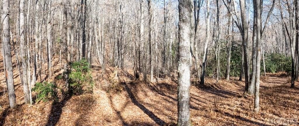 3. Lot 47 Woodchuck Trail