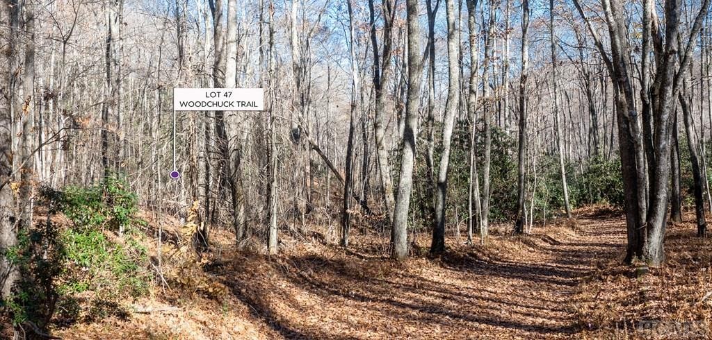 2. Lot 47 Woodchuck Trail