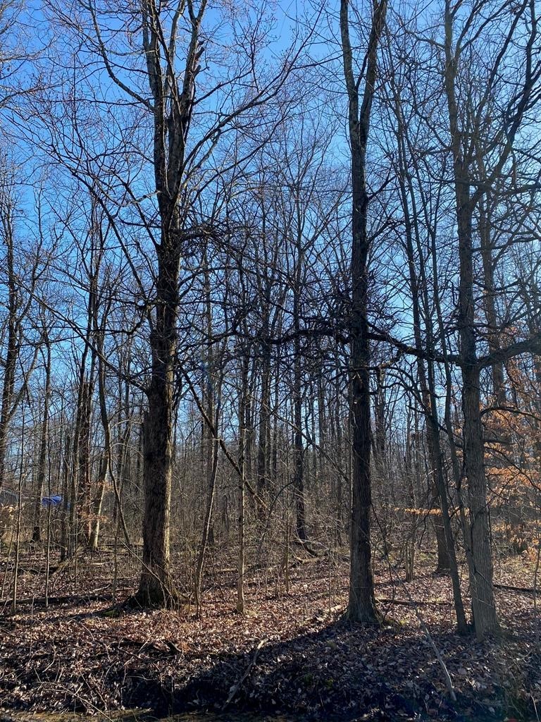 1. 7326 State Route 19, Unit 6, Lot 12