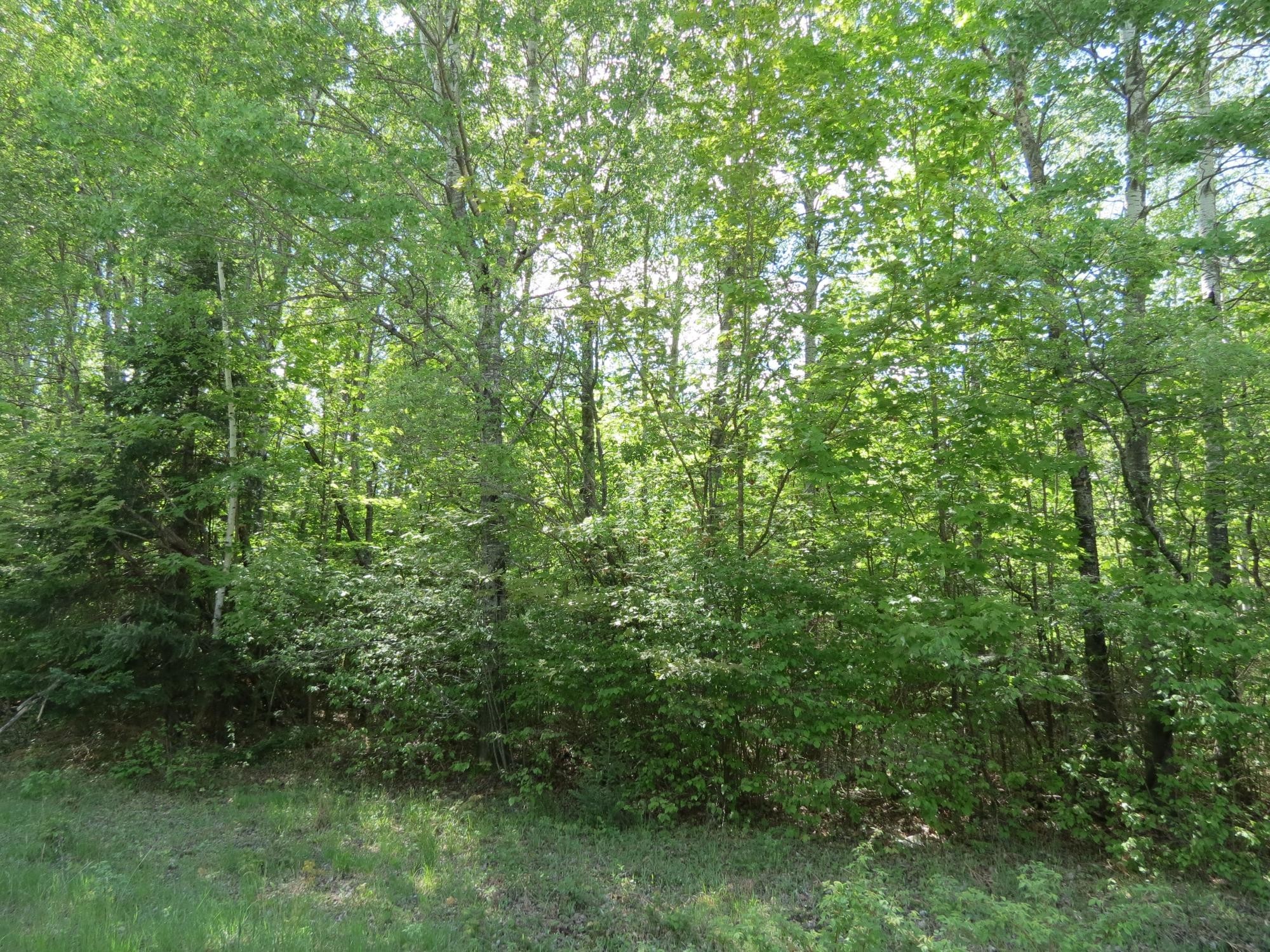 13. Lot 1 Sand Cove Pointe Rd