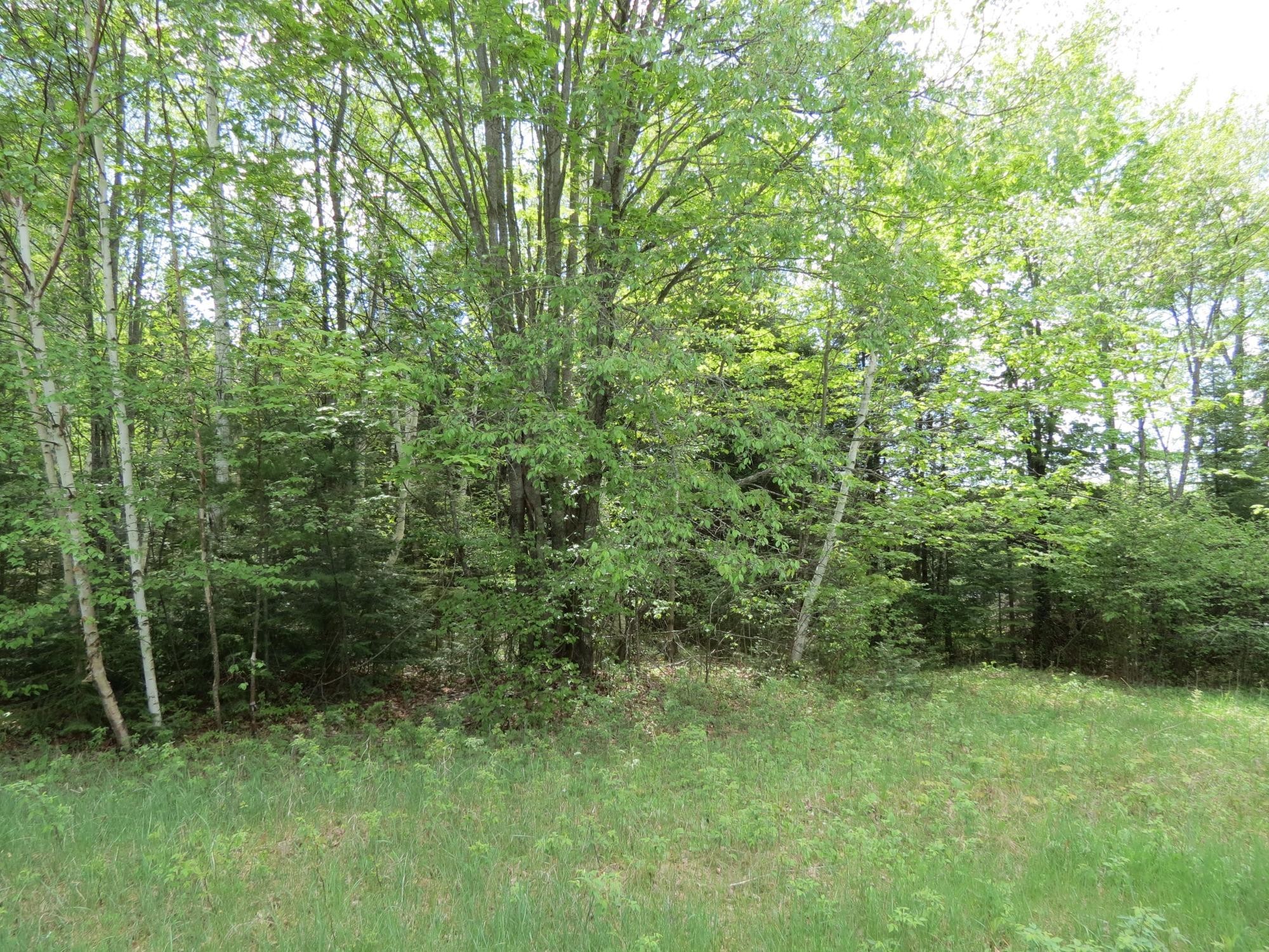 1. Lot 1 Sand Cove Pointe Rd