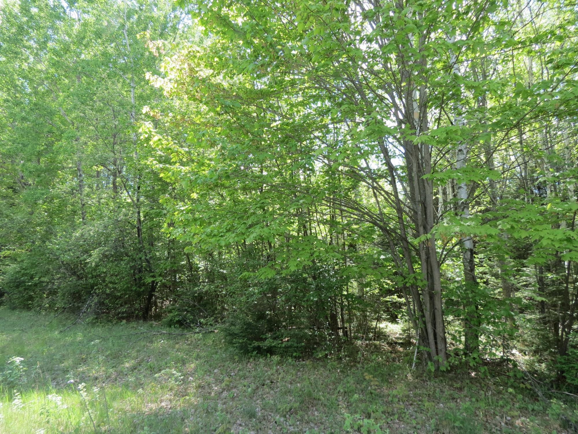 12. Lot 1 Sand Cove Pointe Rd