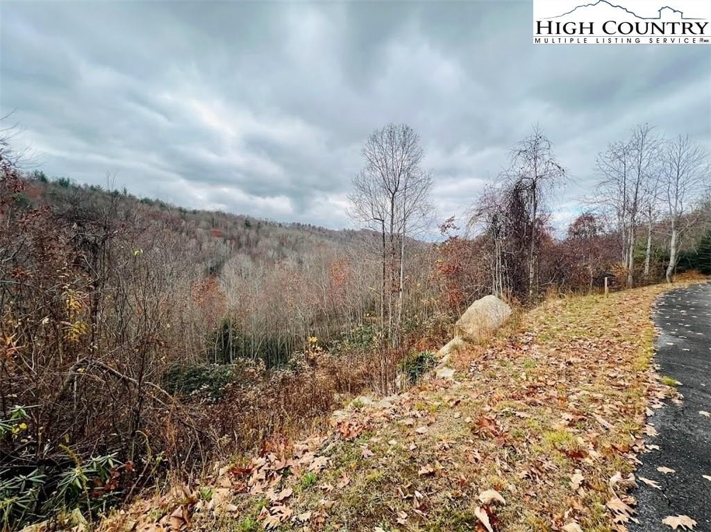 15. Lot 99 Beaver Dam Road