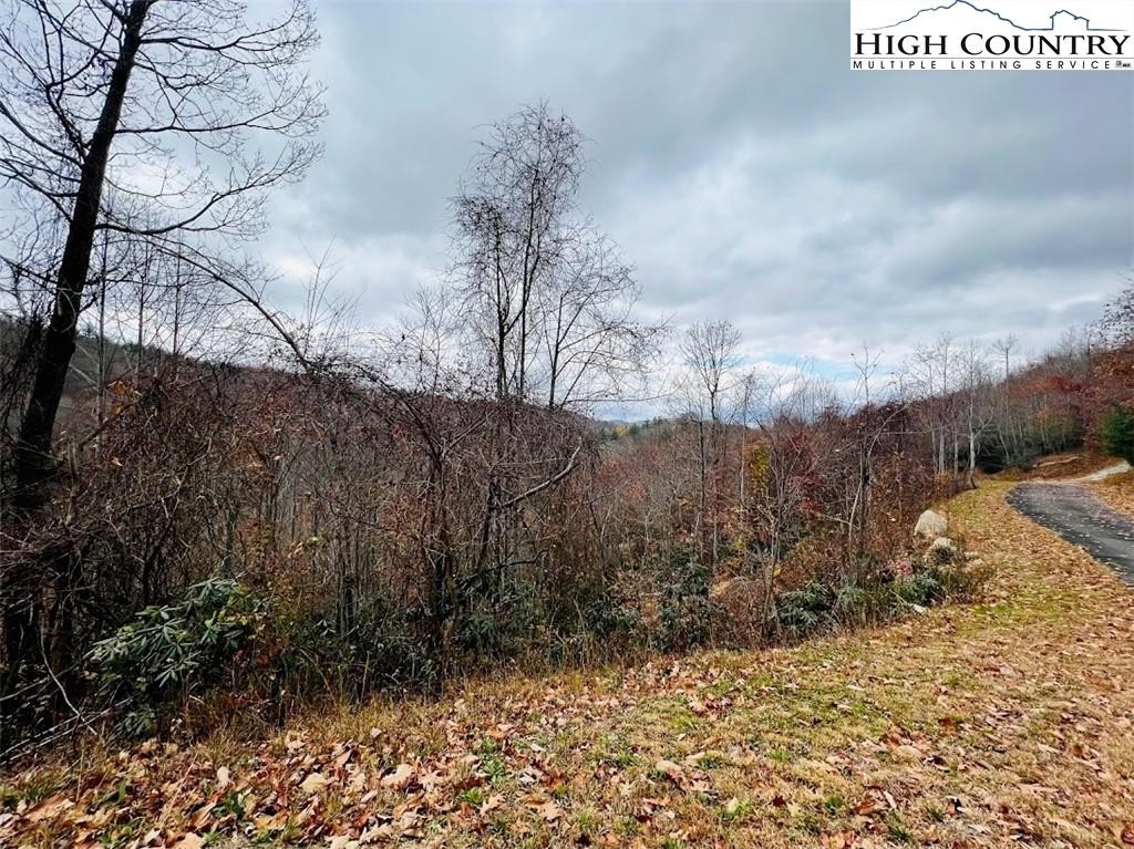 17. Lot 99 Beaver Dam Road