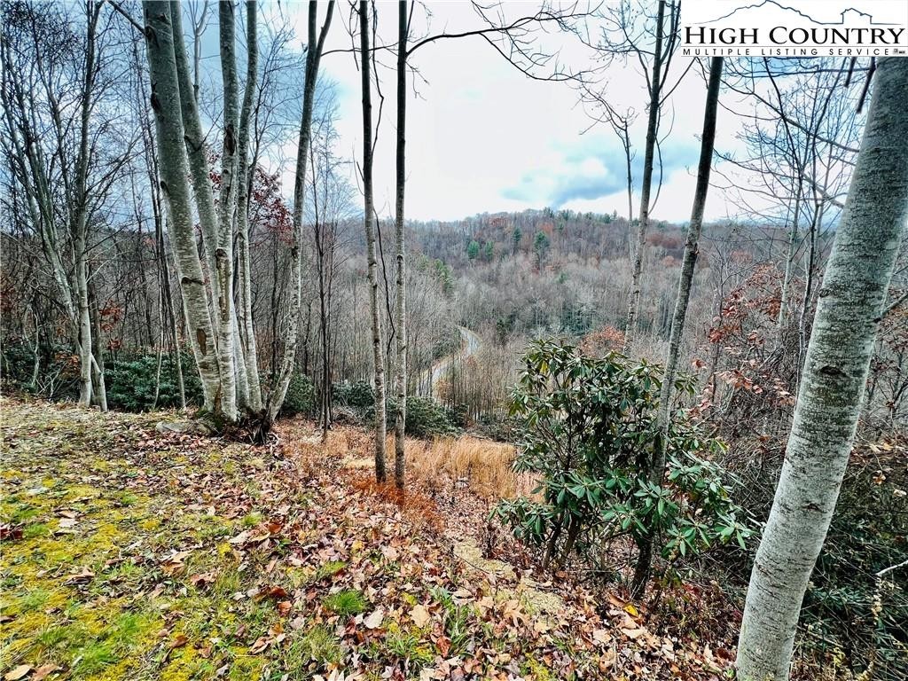 1. Lot 99 Beaver Dam Road