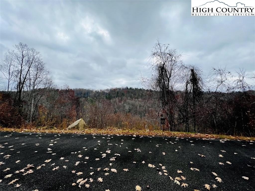 8. Lot 99 Beaver Dam Road