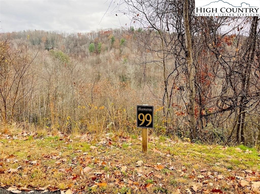 3. Lot 99 Beaver Dam Road