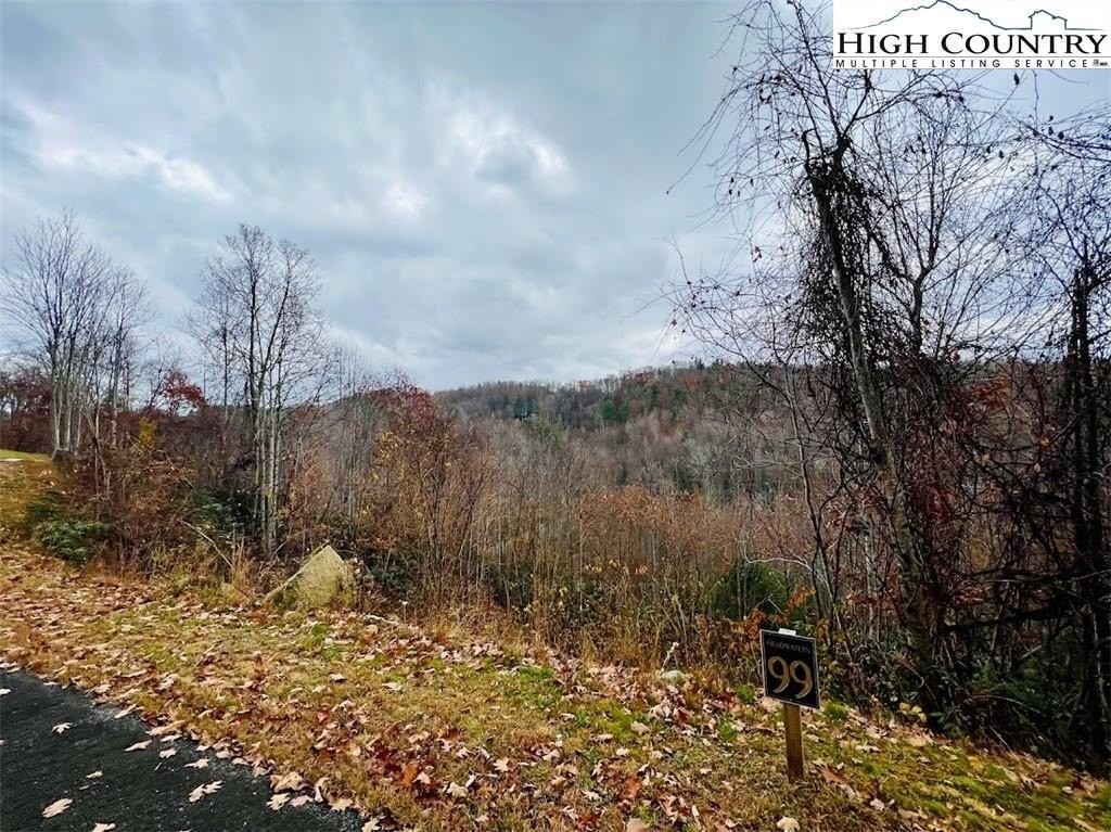 4. Lot 99 Beaver Dam Road