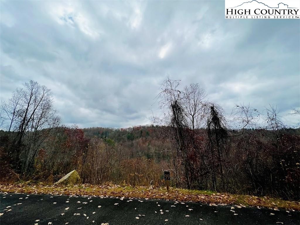 9. Lot 99 Beaver Dam Road