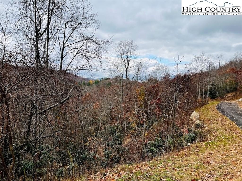 18. Lot 99 Beaver Dam Road