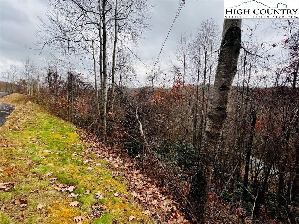 7. Lot 99 Beaver Dam Road