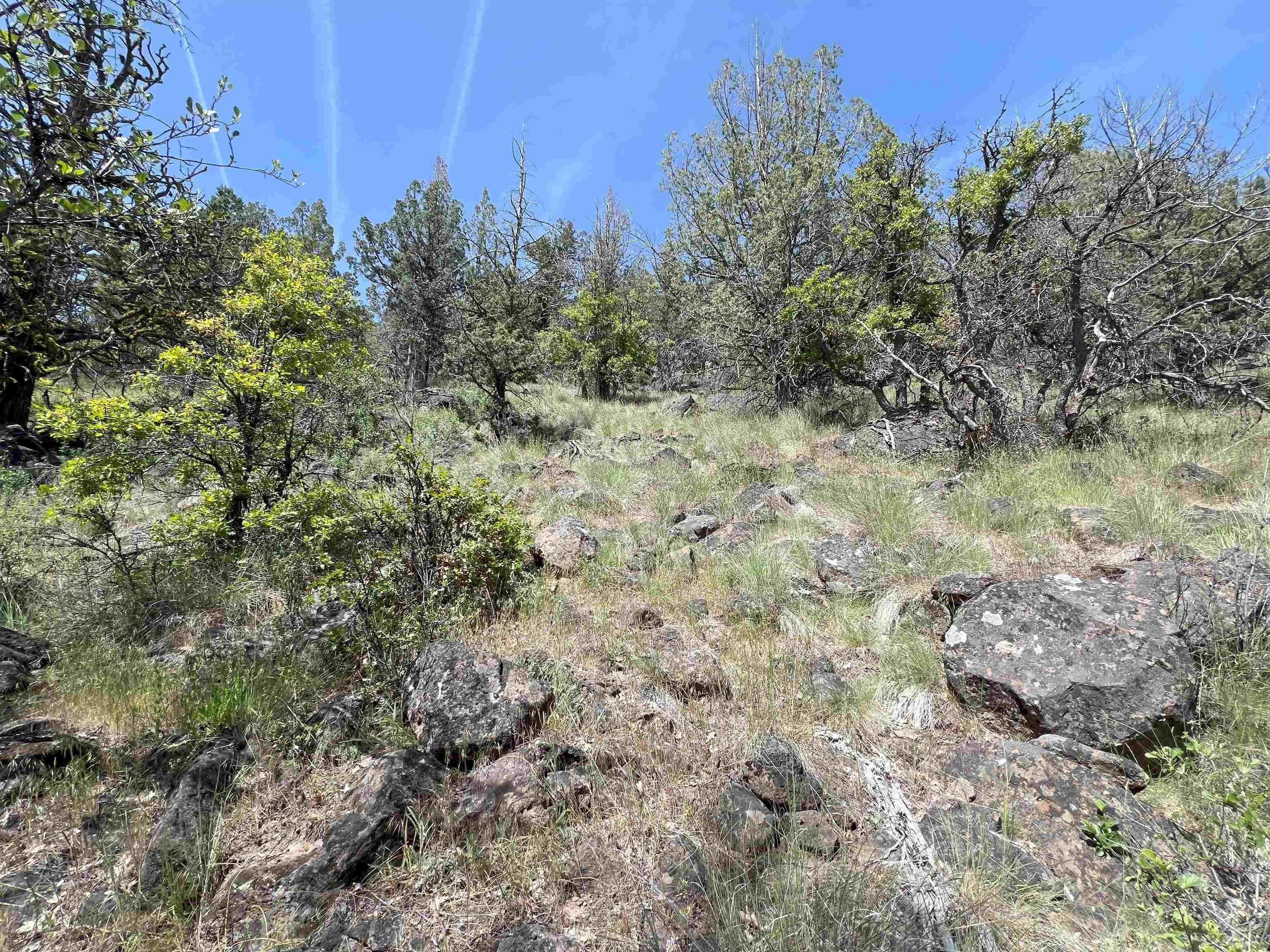 2. 20 Acres Near Log House Rd