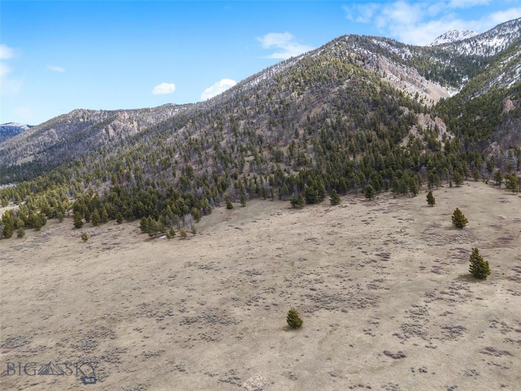 4. Lot 16 Continental Divide Ranch Rd