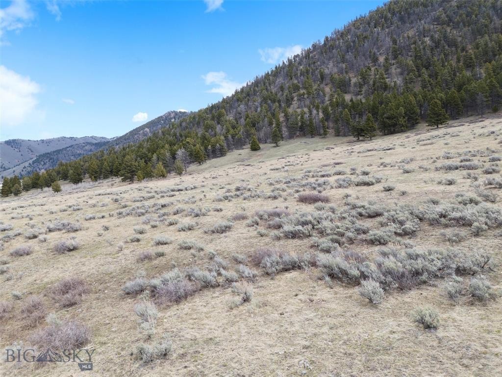 11. Lot 16 Continental Divide Ranch Rd
