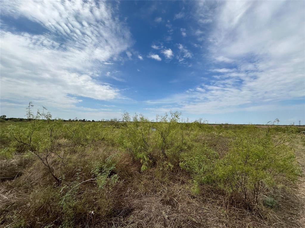 4. 42 Acres Fm 66 Highway