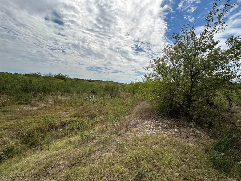 20. 42 Acres Fm 66 Highway