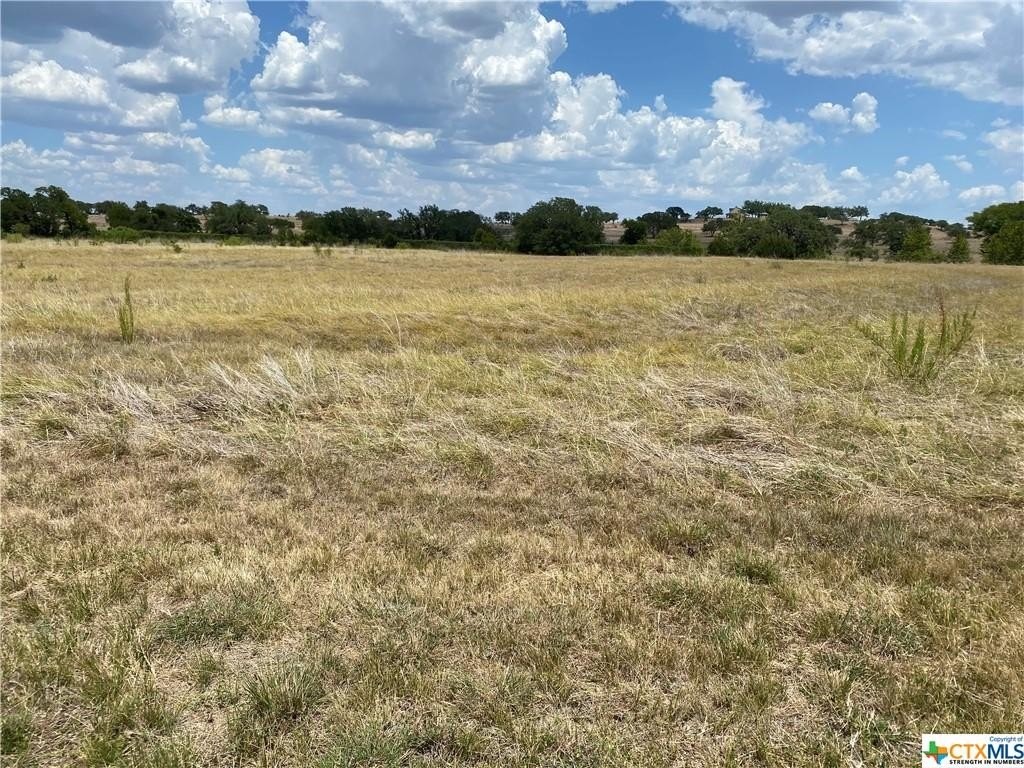 2. Lot 35 Summit Springs Drive