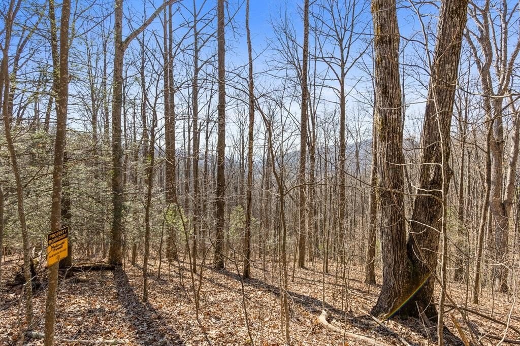 25. Winfield Overlook