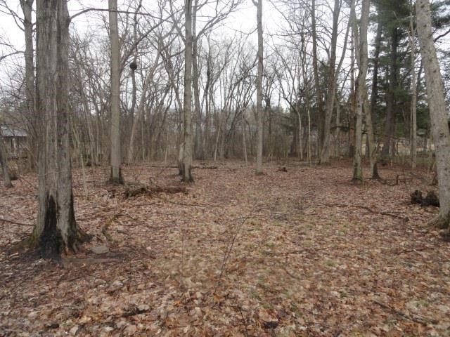 24. 1.75 Ac W Oakwood Park