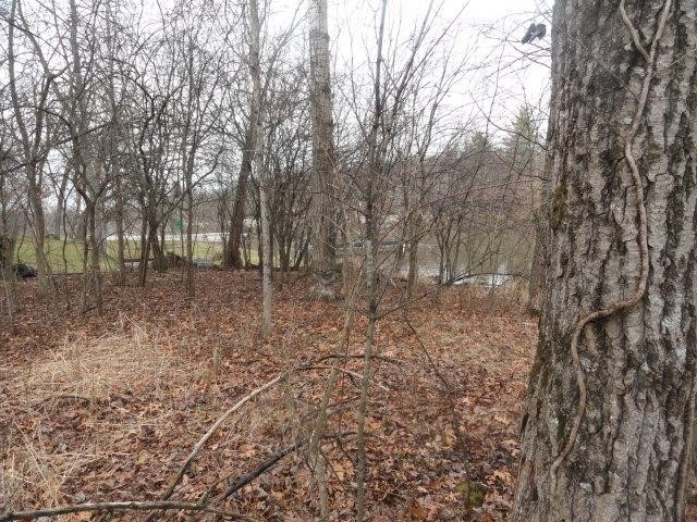 33. 1.75 Ac W Oakwood Park