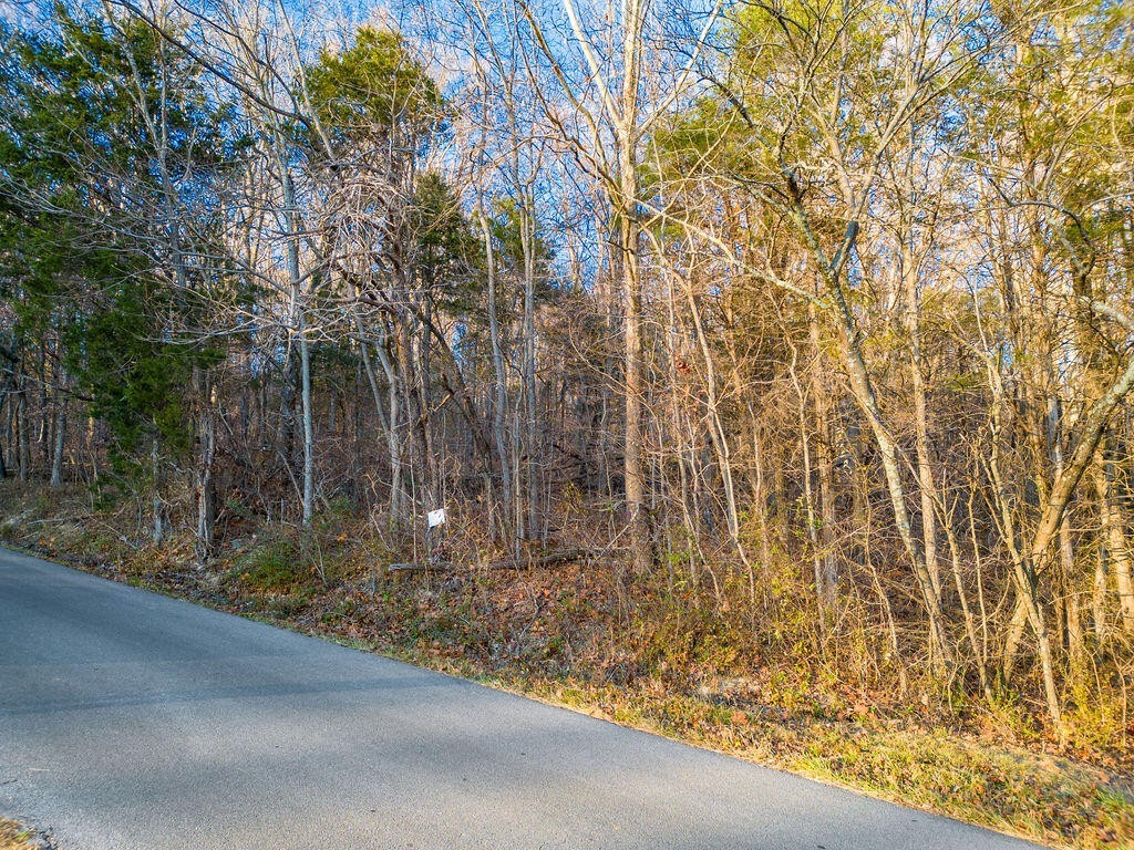 1. 2.79 Acres Bandy Rd