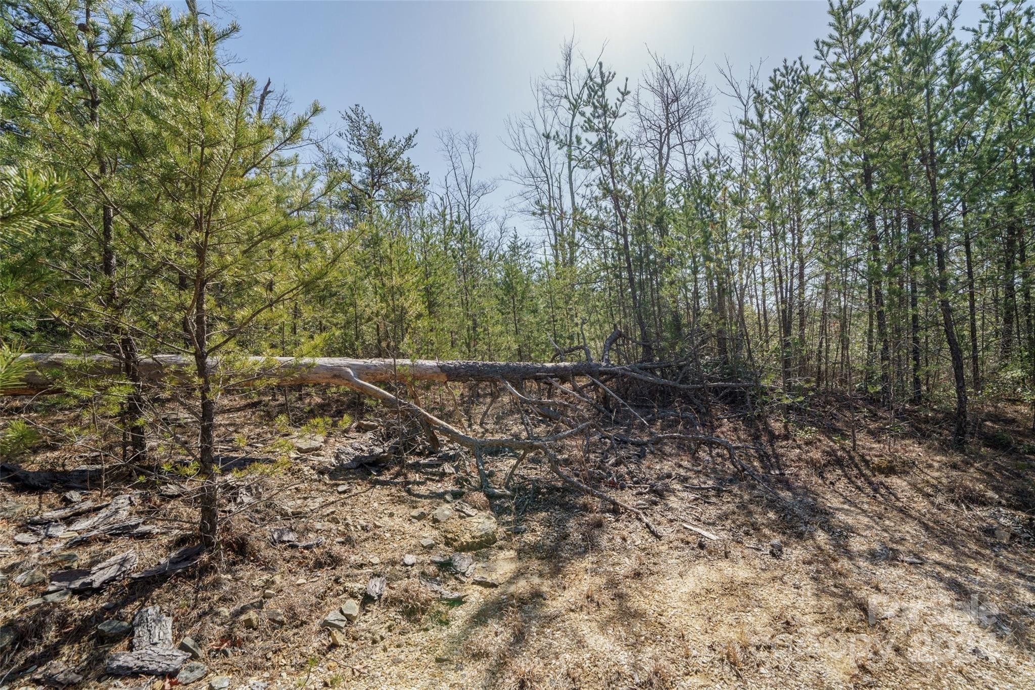 6. Lot 16-C And 17-C Nantahala Way